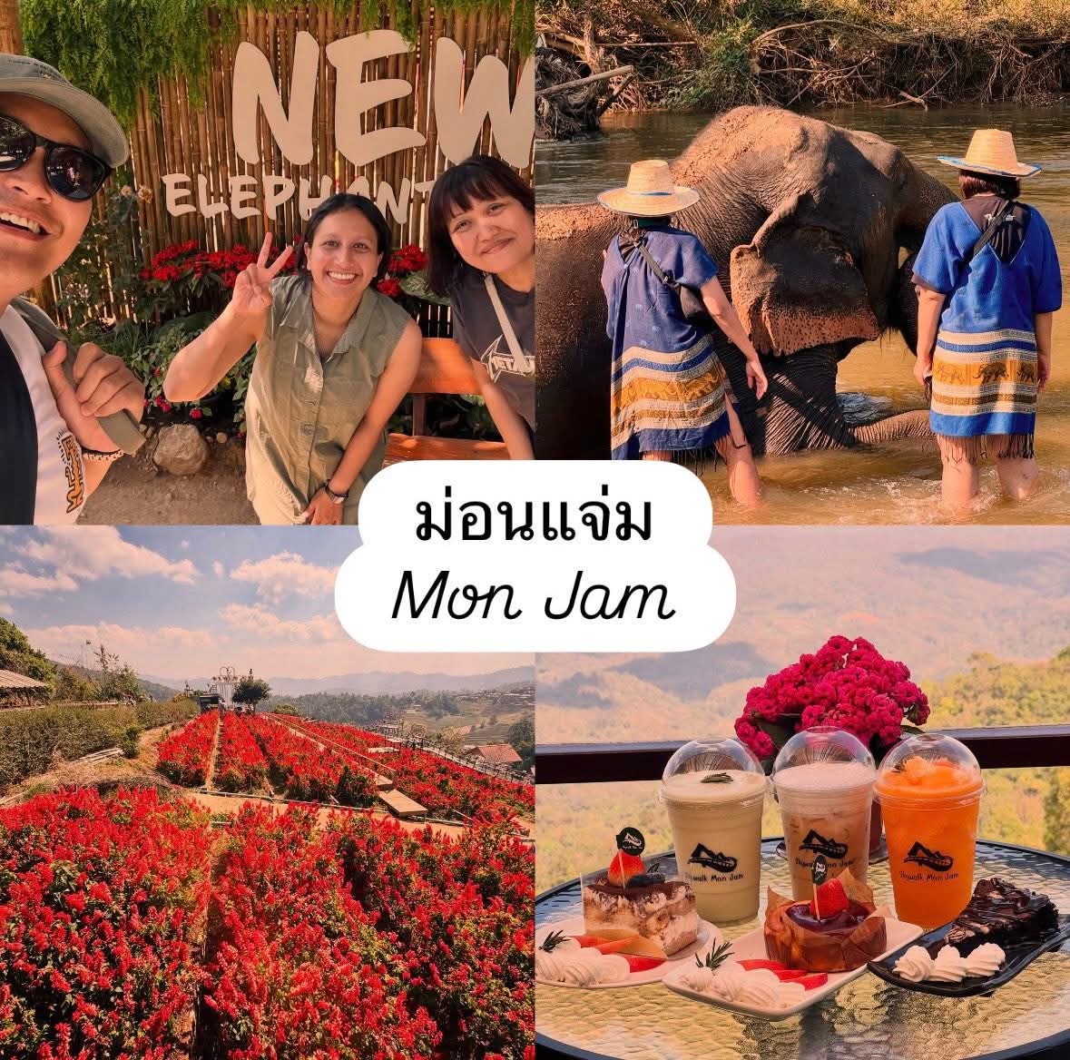 🌳​Mon​ Jam💐​🌻​