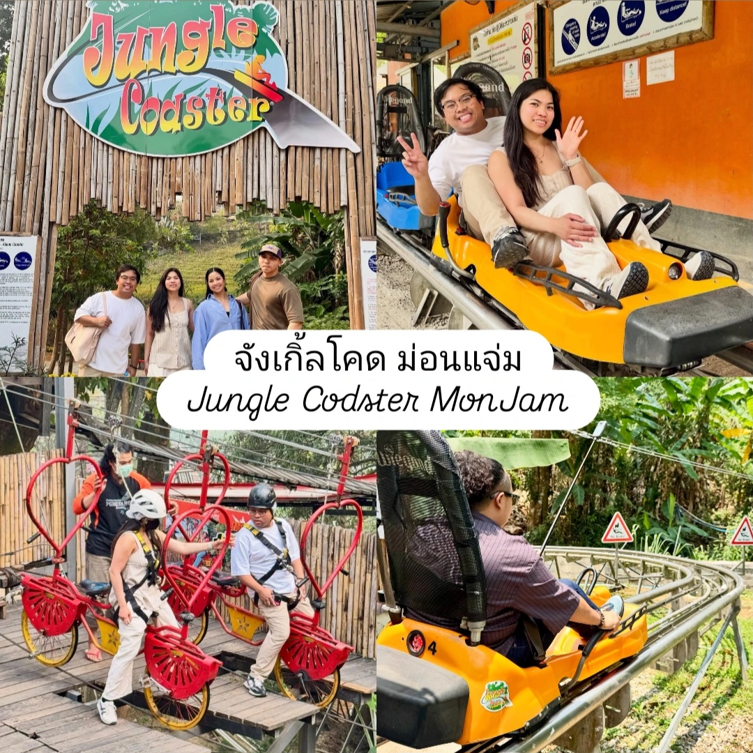🌻​Pongyang Jungle Coaster & Zipline🎢​